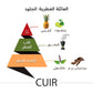Cuir - Dubai Store