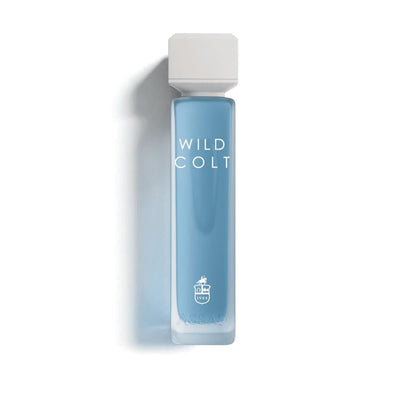 Wild Colt - Dubai Store